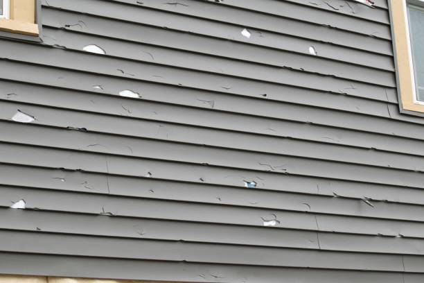 Reliable Egan, LA Siding Installation Solutions